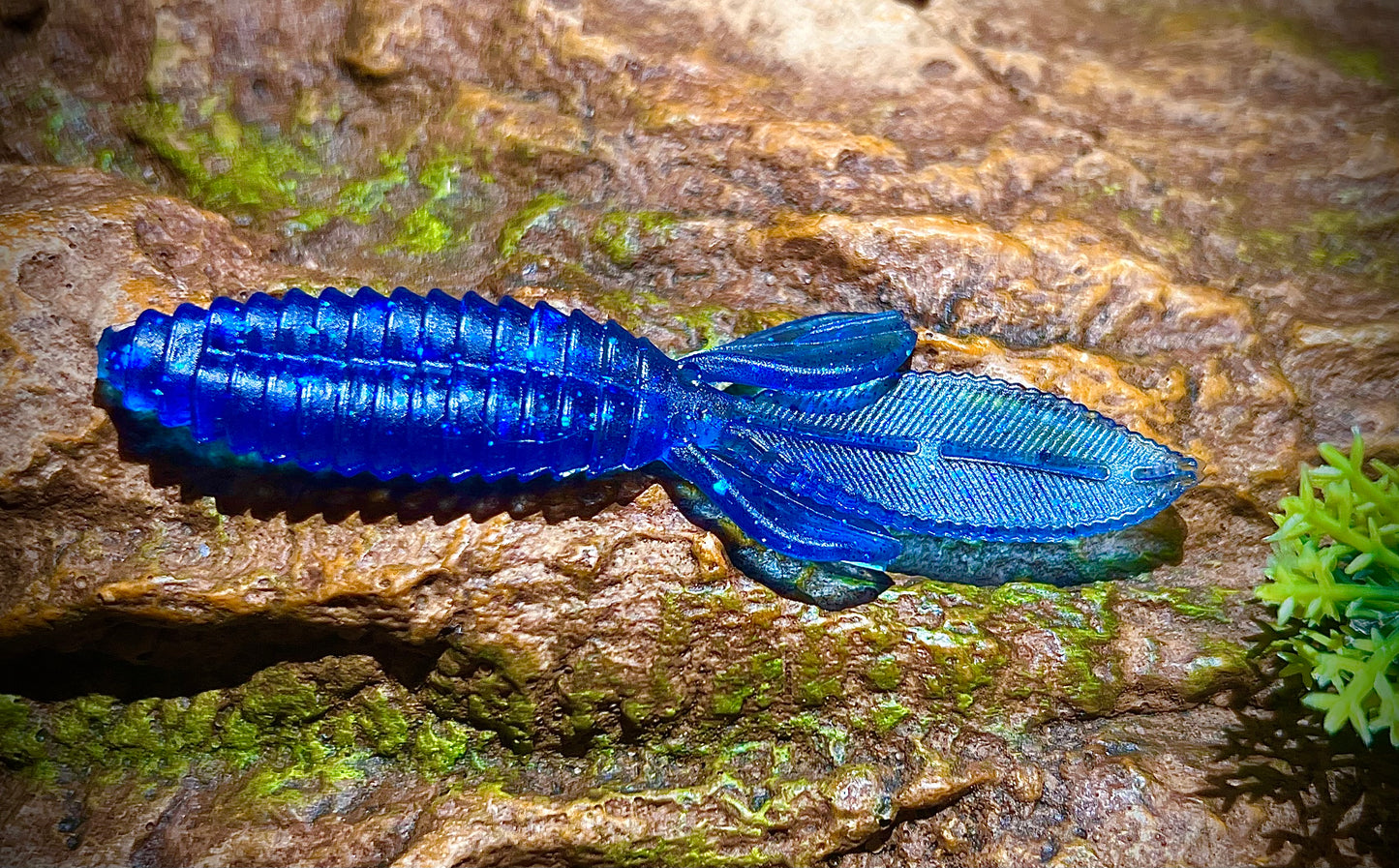 KB Fishing "Bouncin Beaver" Soft Plastic Bait (5 Pack)