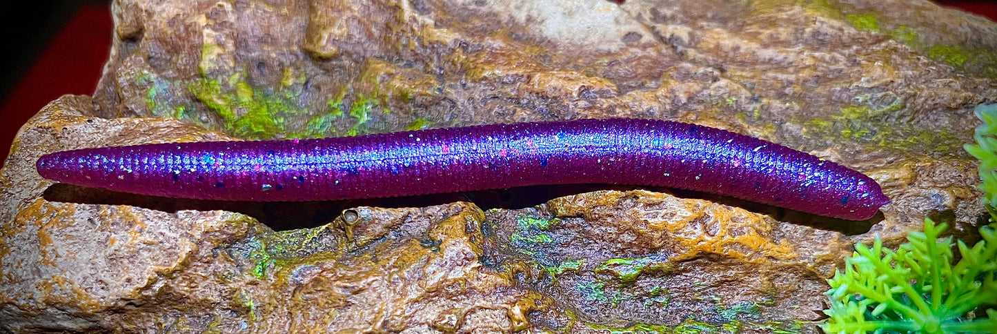 KB Fishing "Sinkin Logs" Soft Plastic Bait (5 Pack)