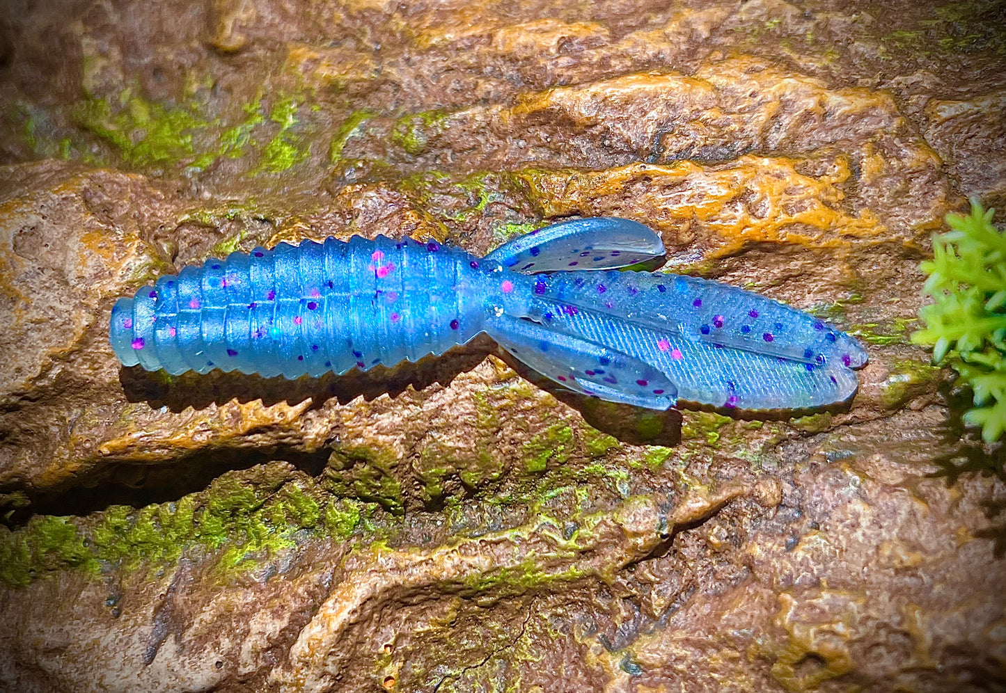 KB Fishing "Bouncin Beaver" Soft Plastic Bait (5 Pack)