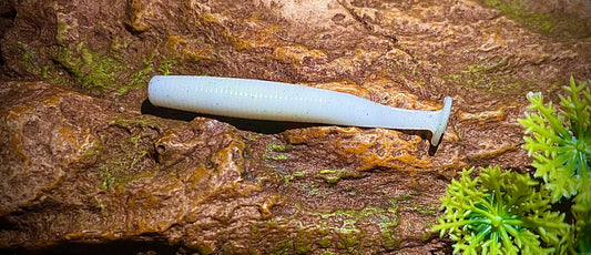 KB Fishing "Neddy Krueger" Soft Plastic Bait (5 Pack)